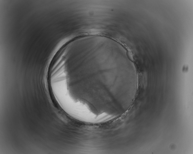 X0000102500147200809051354