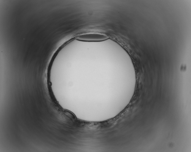 X0000102500148200809051354