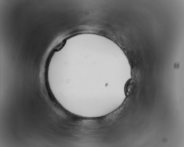 X0000102500150200809051354