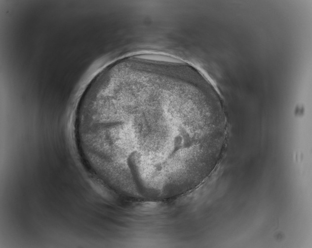 X0000102500151200809051354