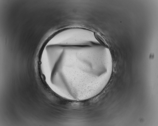 X0000102500152200809051354