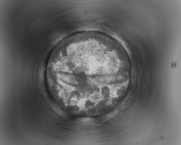 X0000102500153200809051354