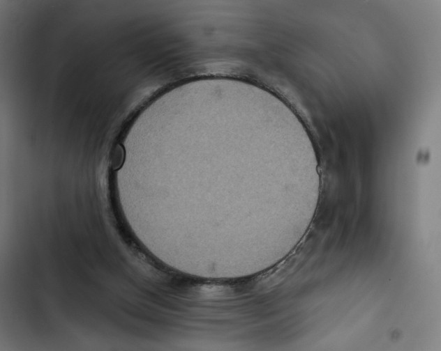 X0000102500154200809051354