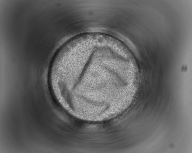 X0000102500155200809051354