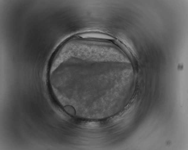 X0000102500156200809051354