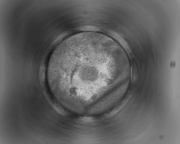 X0000102500157200809051354