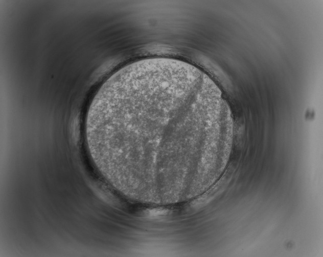 X0000102500158200809051354