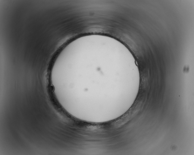 X0000102500160200809051354