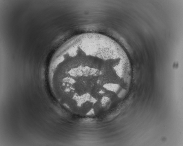 X0000102500161200809051354