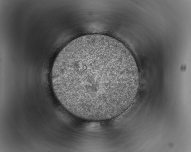 X0000102500162200809051354