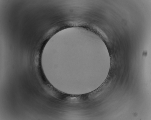 X0000102500163200809051354