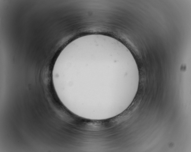 X0000102500164200809051354