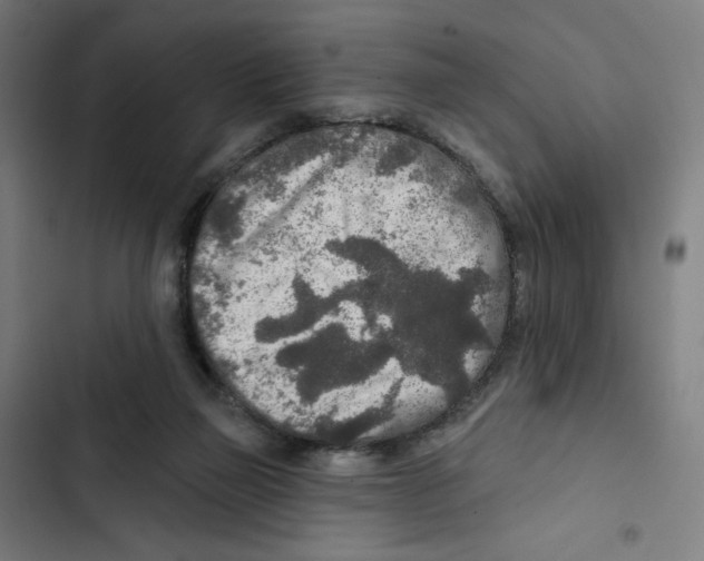 X0000102500165200809051354