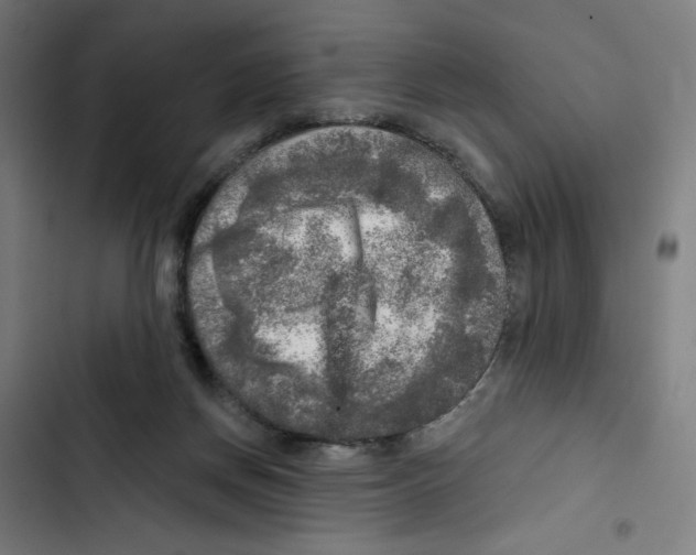 X0000102500166200809051354