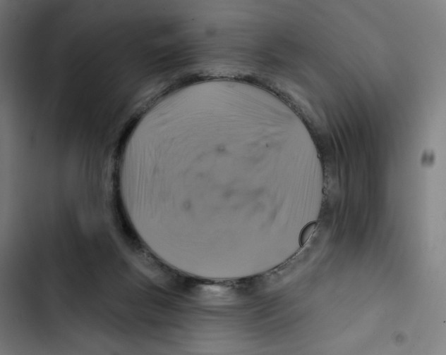 X0000102500167200809051354