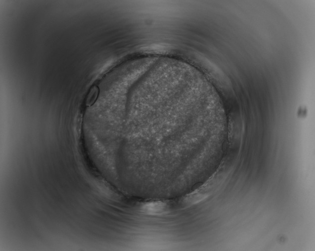 X0000102500168200809051354