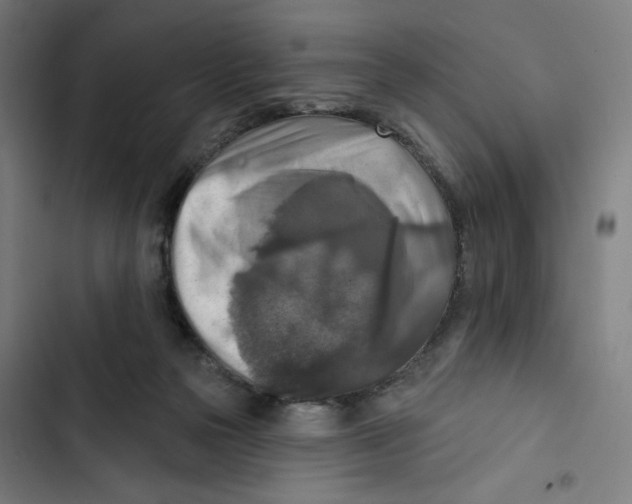 X0000102500169200809051354