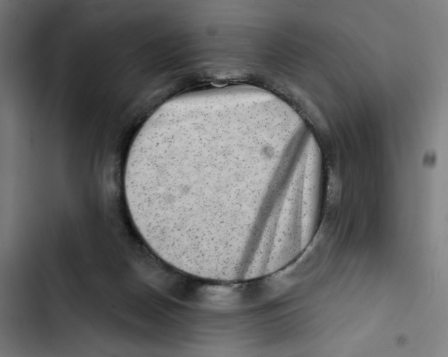 X0000102500170200809051354