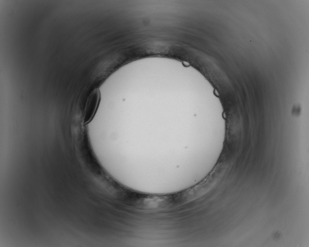 X0000102500172200809051354