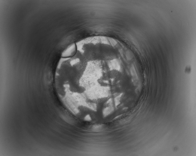 X0000102500173200809051354