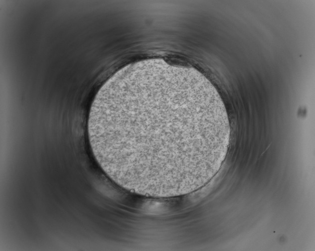 X0000102500174200809051354