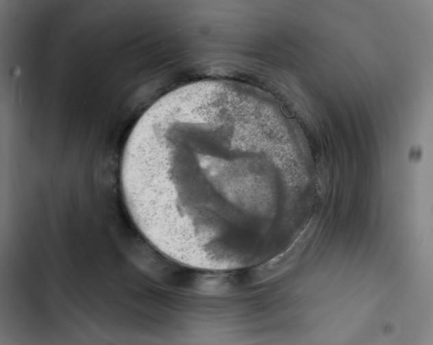 X0000102500175200809051354