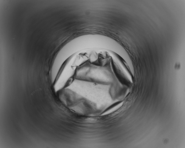 X0000102500176200809051354