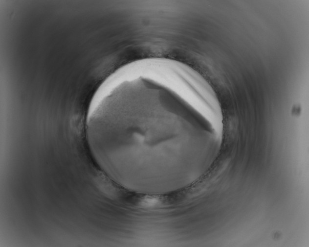 X0000102500177200809051354