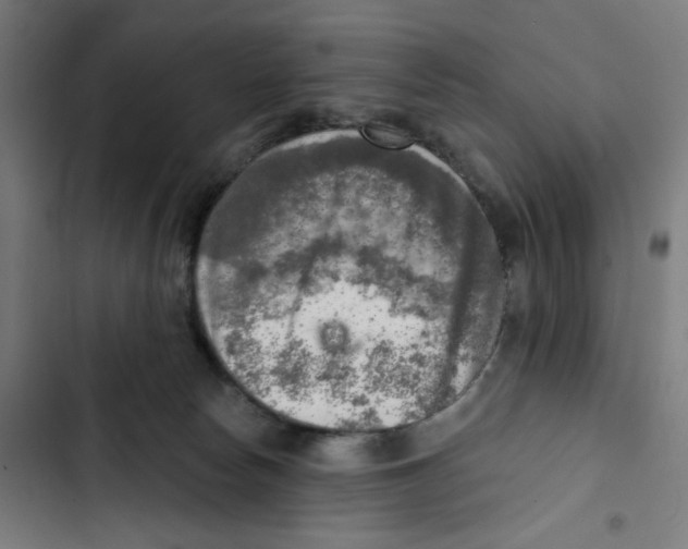 X0000102500178200809051354