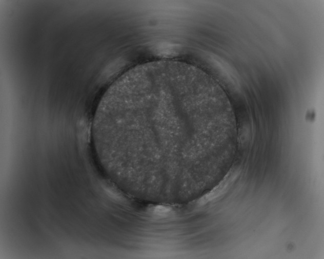 X0000102500180200809051354