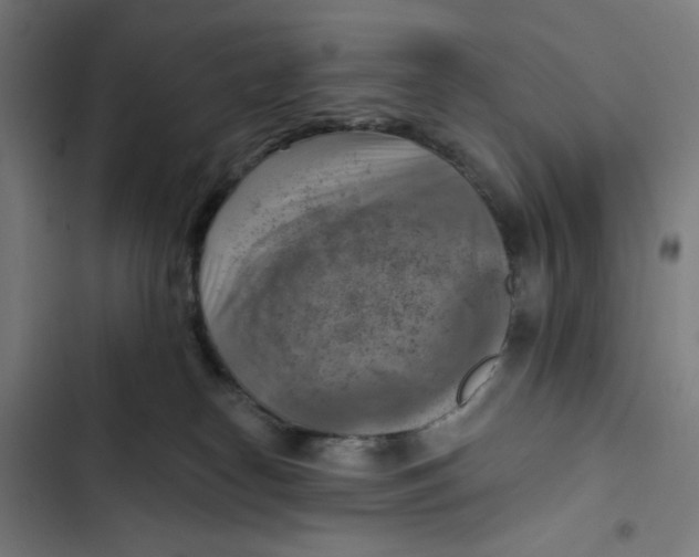 X0000102500182200809051354