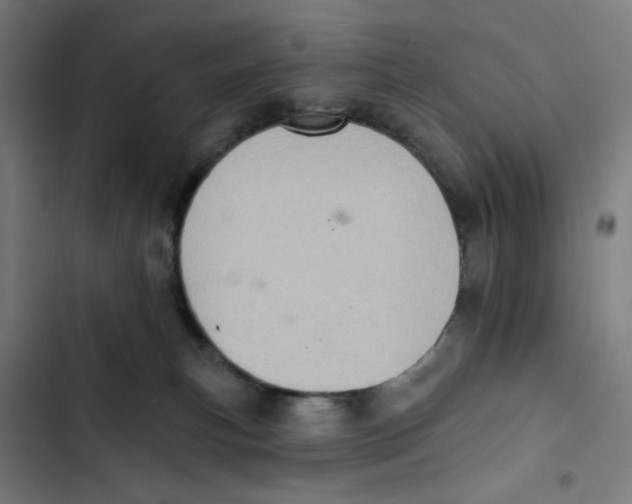 X0000102500183200809051354