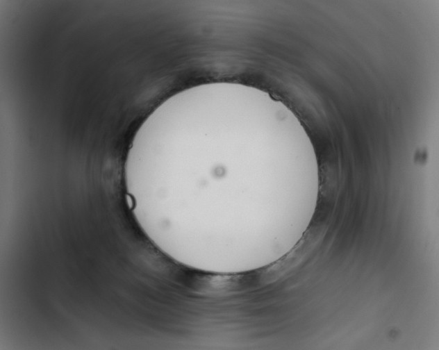 X0000102500184200809051354