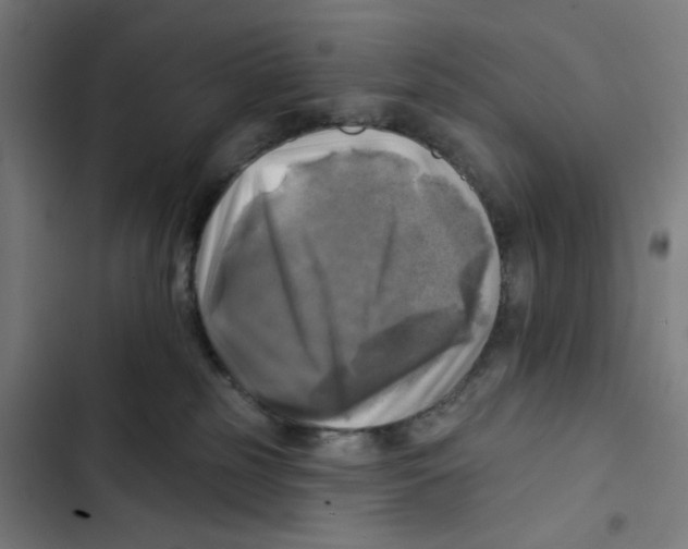 X0000102500185200809051354