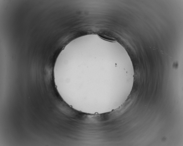 X0000102500188200809051354