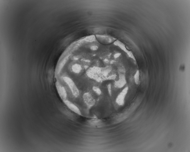 X0000102500189200809051354