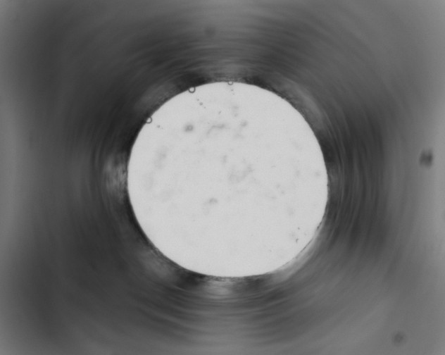 X0000102500190200809051354