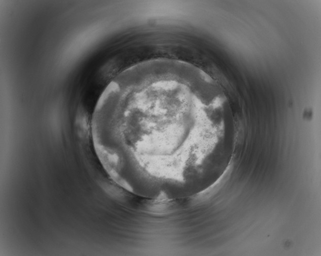 X0000102500191200809051354