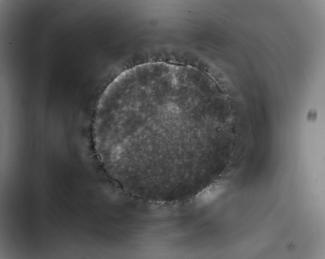 X0000102500192200809051354