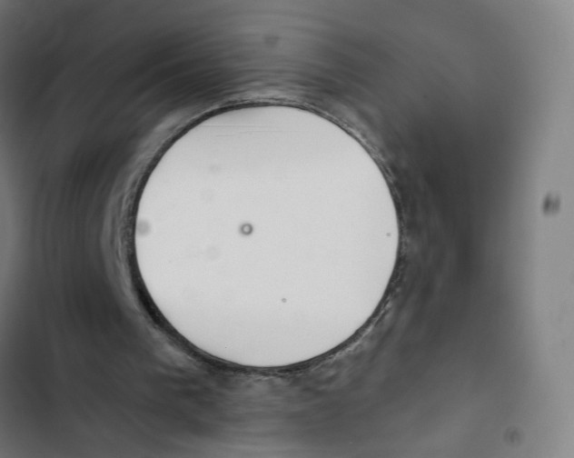 X0000102500193200809051354