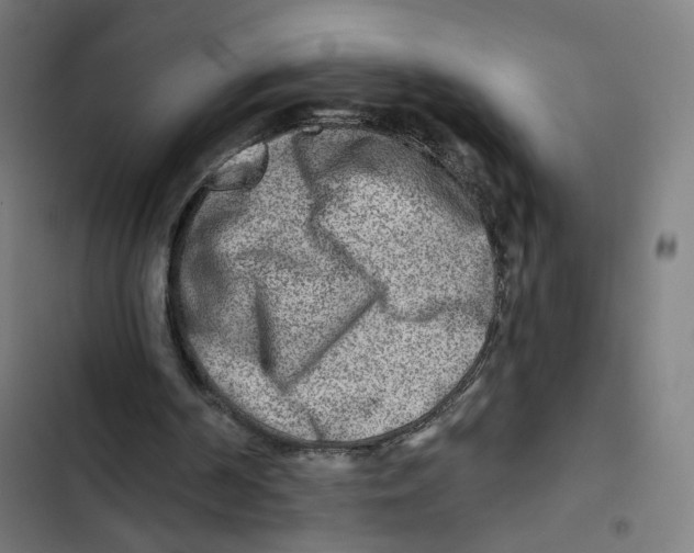 X0000102500194200809051354