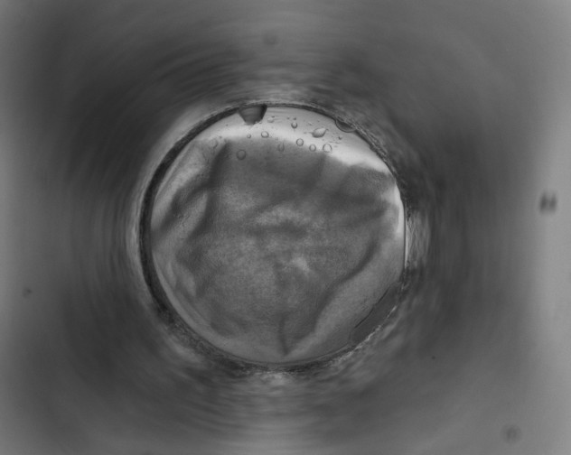 X0000102500195200809051354