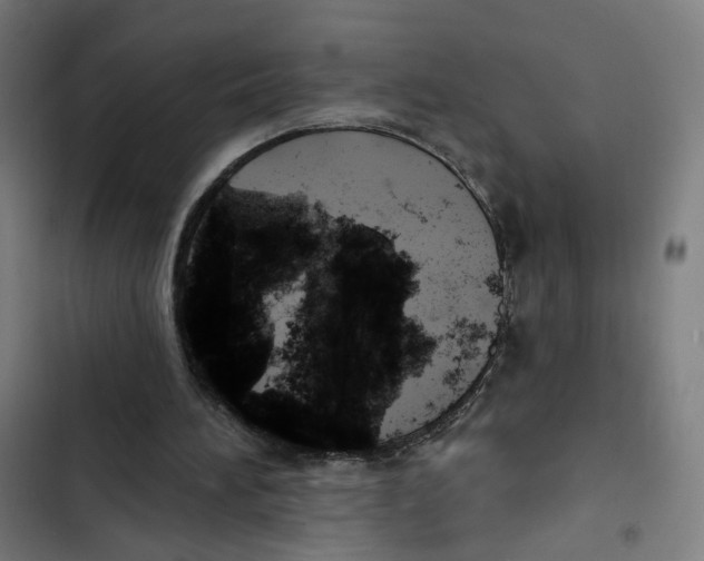 X0000102500196200809051354