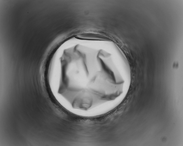 X0000102500197200809051353