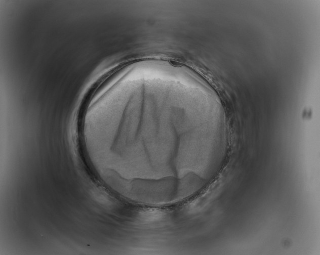 X0000102500198200809051353