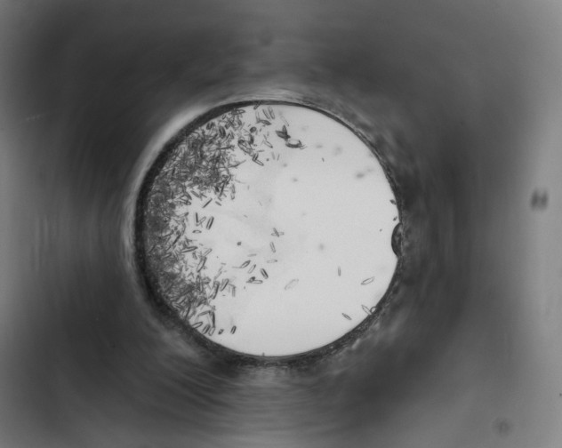 X0000102500200200809051353