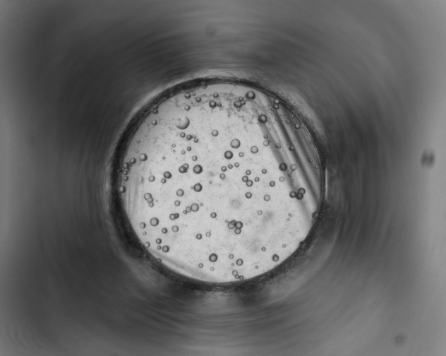 X0000102500204200809051353