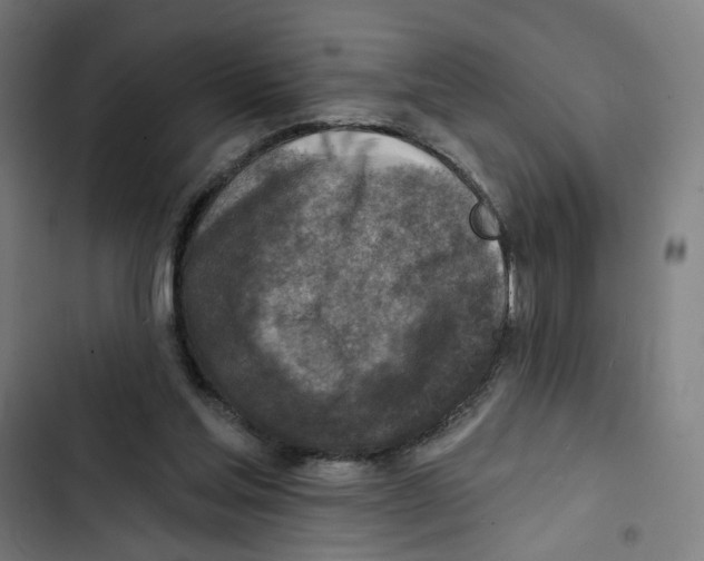 X0000102500205200809051353