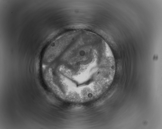 X0000102500206200809051353