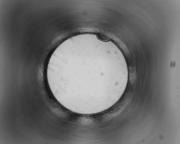 X0000102500207200809051353